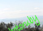 IMG_8333.JPG