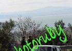 IMG_8335.JPG