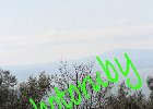 IMG_8314.JPG