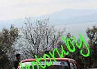 IMG_8316.JPG
