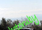 IMG_8317.JPG